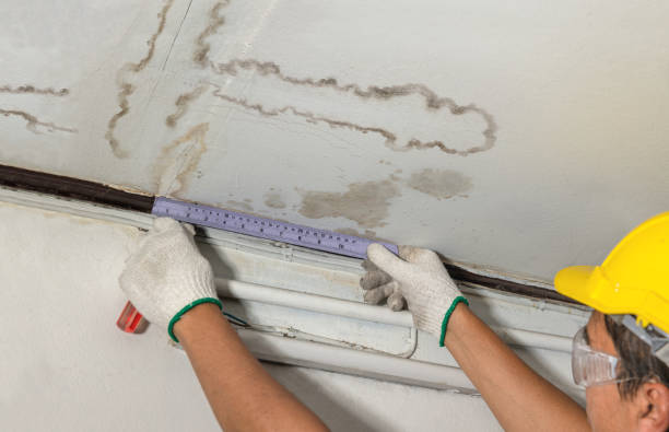 Reliable Water Damage contractor in Trinidad, CO by Water Damage Irwin